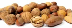 V&aacute;rios tipos de castanhas