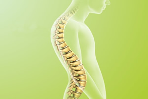 A coluna vertebral tamb&eacute;m &eacute; chamada de espinha.  